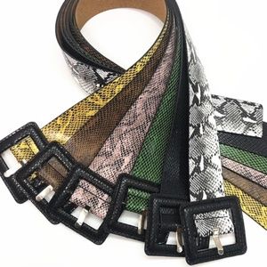Reptile Runway Belt